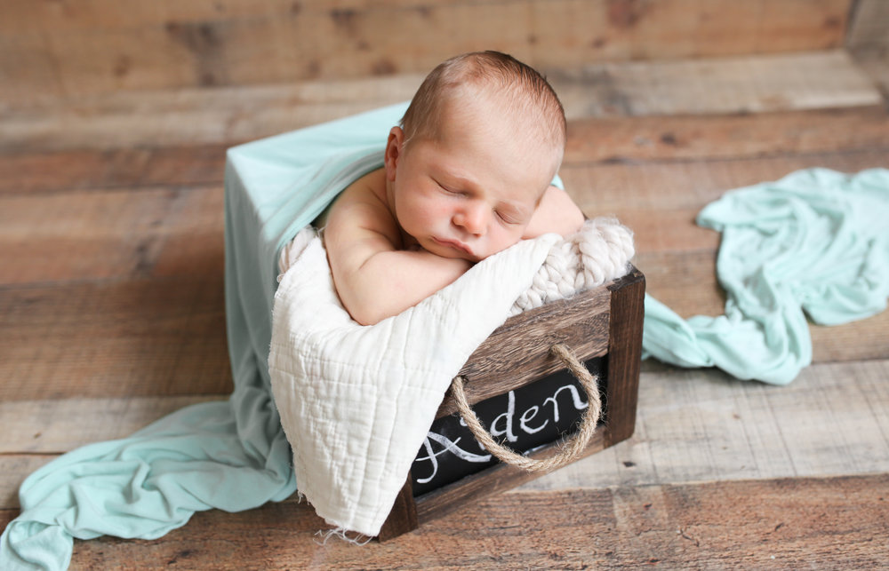 Aiden Newborn Session Pleasant Ridge Mallory Tahy Photography-515.jpg