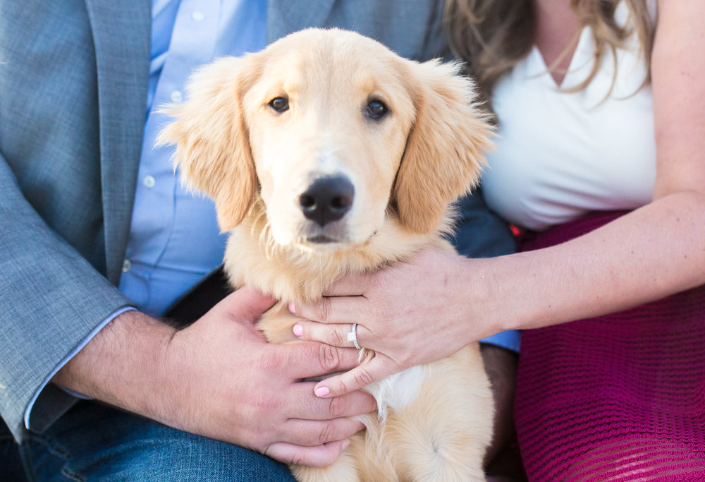 Alex and Julie Engagement Session Downtown Detroit-115.jpg