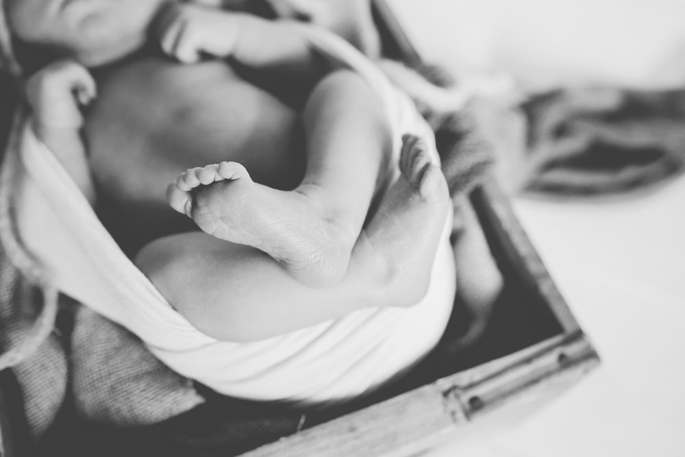 Jackson Newborn Session Mallory McLellan Photography-188-2.jpg